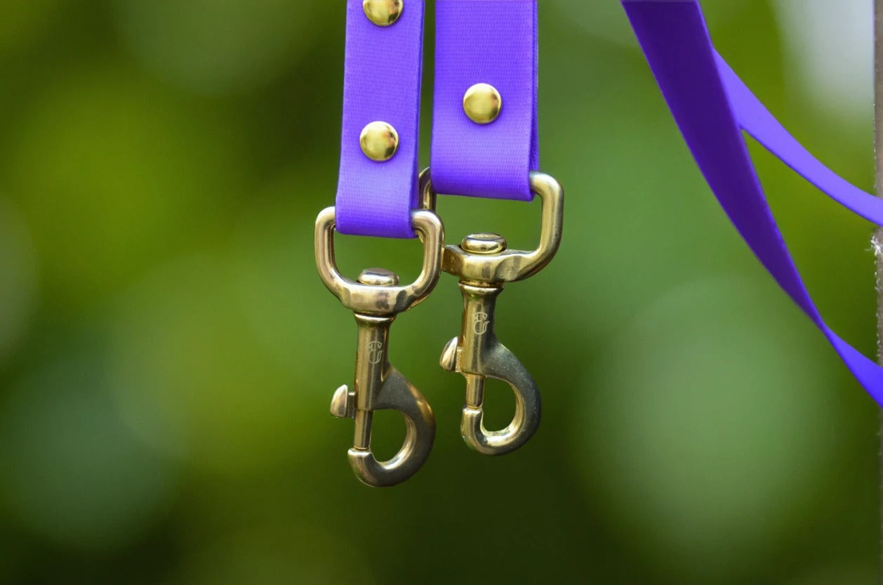 Amethyst Leash