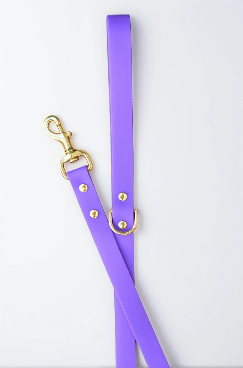Amethyst Leash