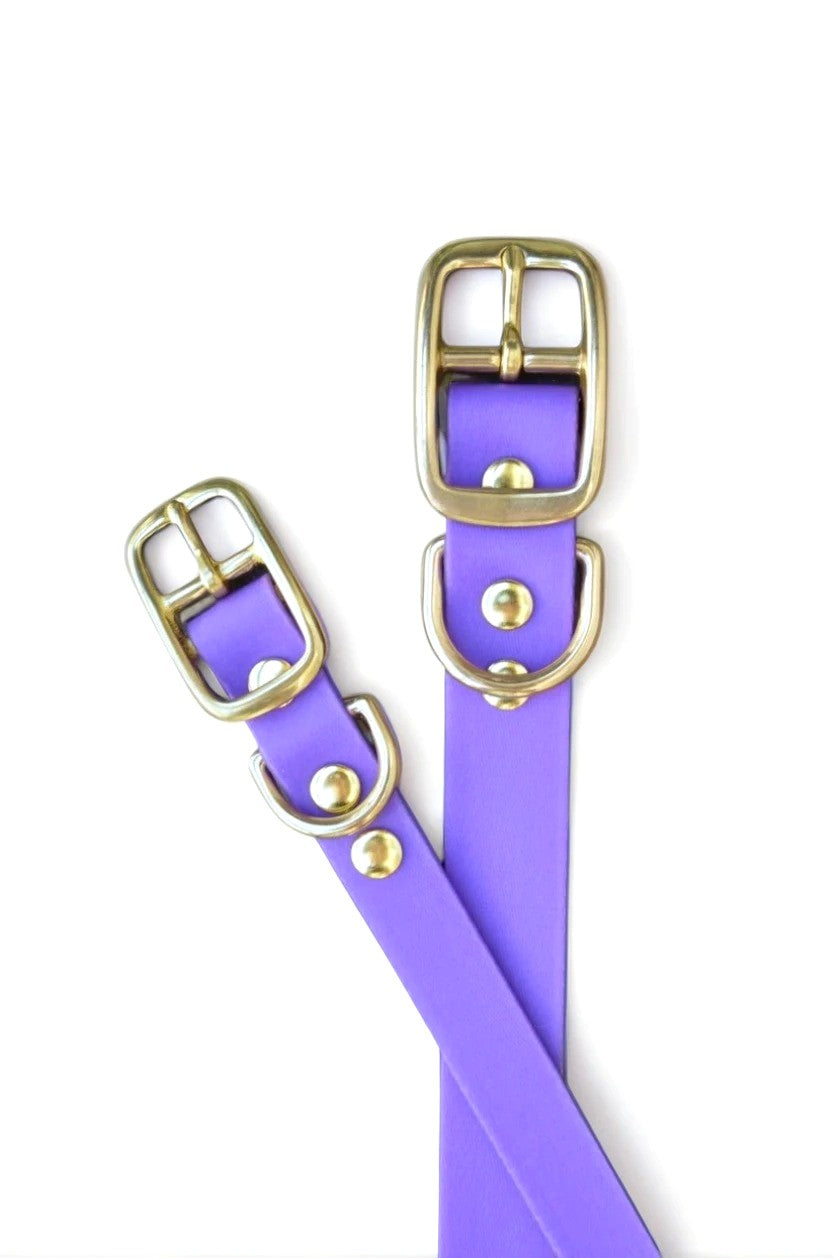 The Amethyst Collar