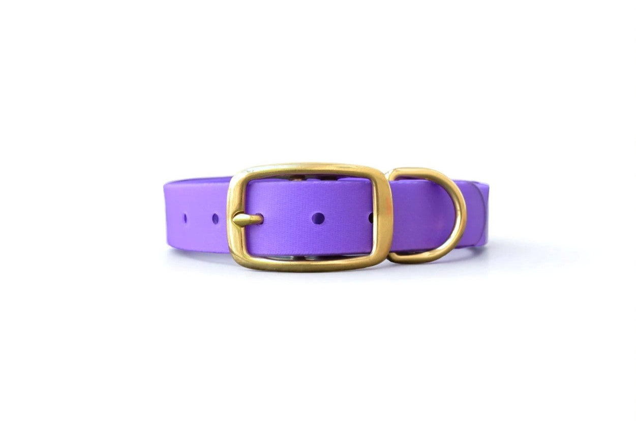 The Amethyst Collar