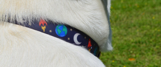 The Space Cadet Collar