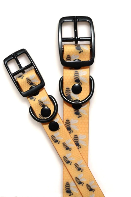 The Buzz Collar