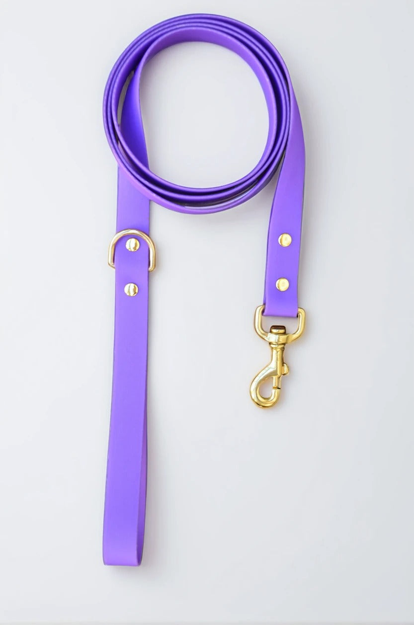 Amethyst Leash