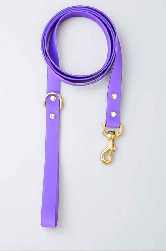 Amethyst Leash