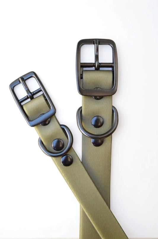 The Olive Collar