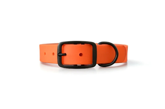 The Blaze Collar