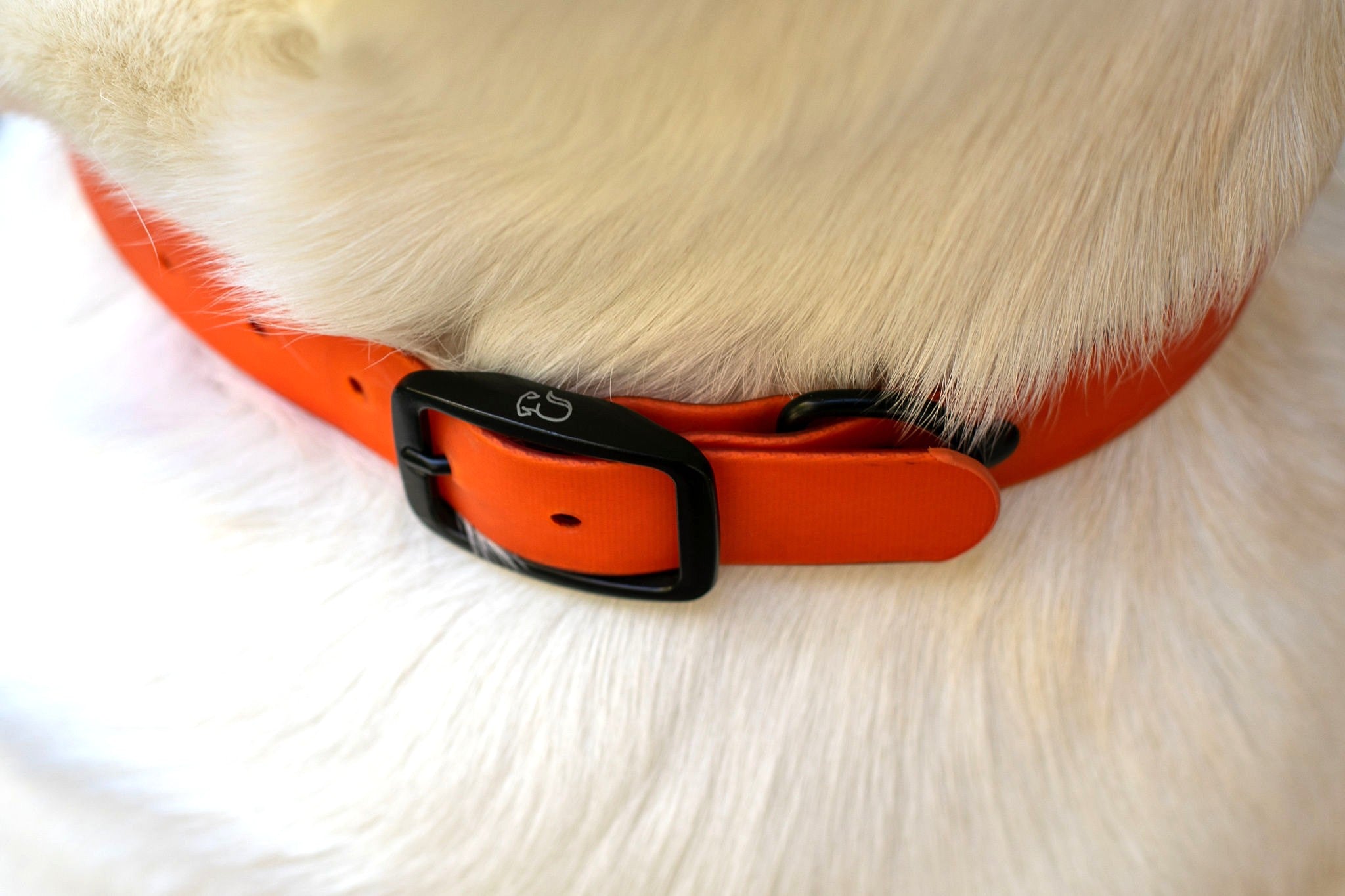 The Blaze Collar