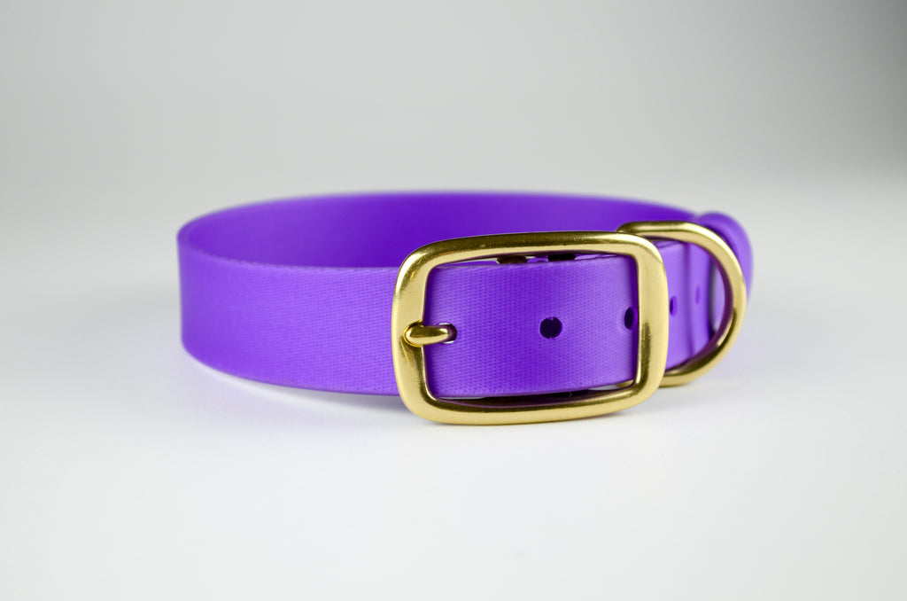 The Amethyst Collar