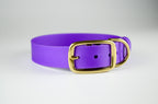The Amethyst Collar
