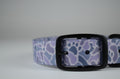 The Slate Pawmo Collar
