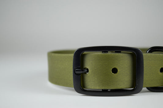 The Olive Collar
