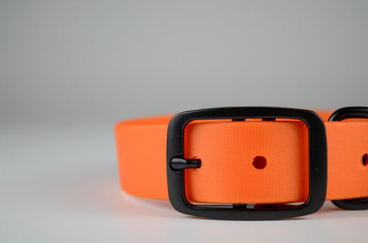 The Blaze Collar