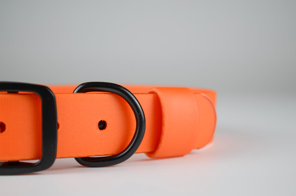 The Blaze Collar