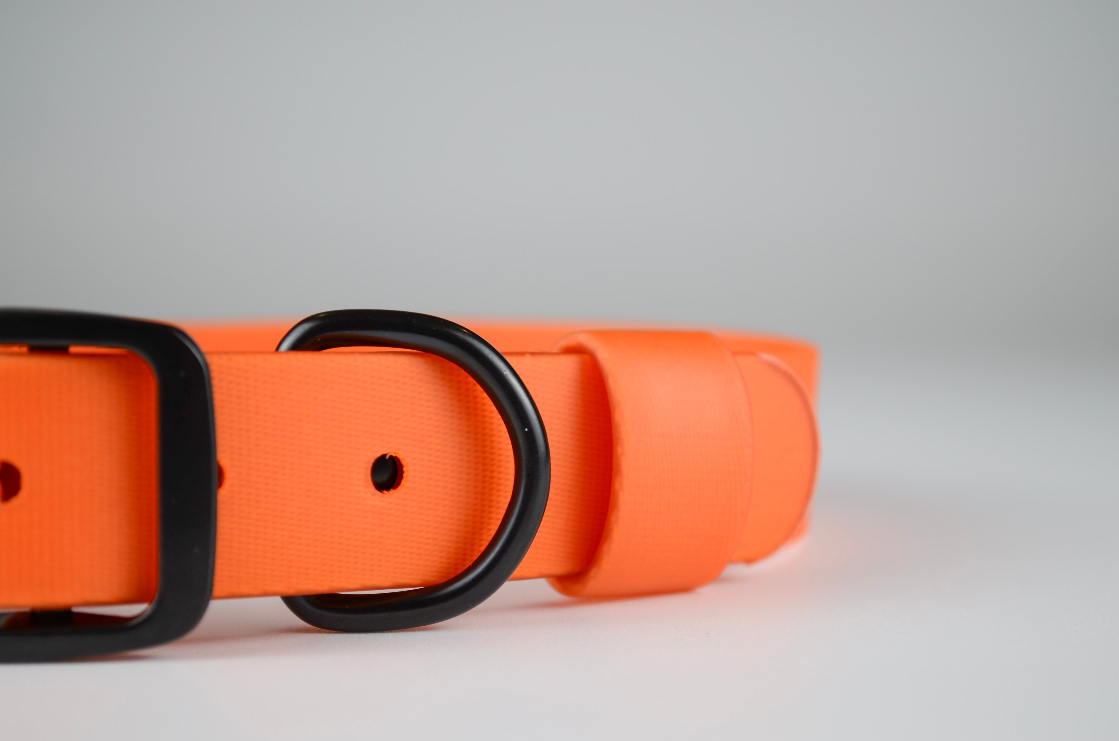 The Blaze Collar