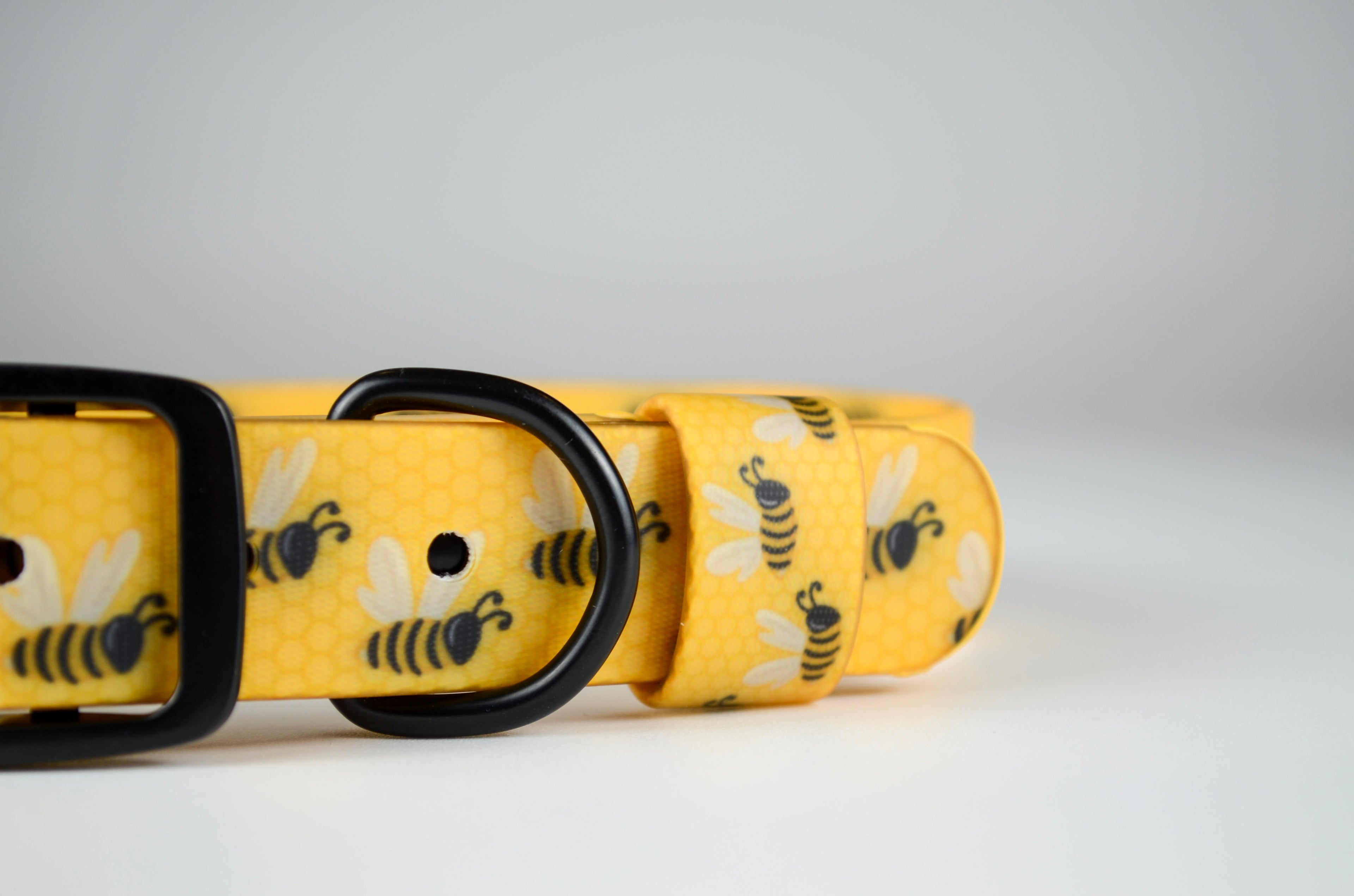 The Buzz Collar