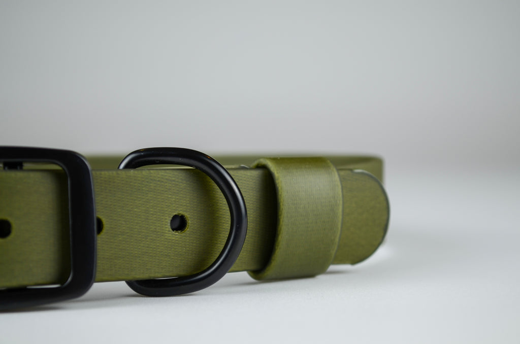 The Olive Collar