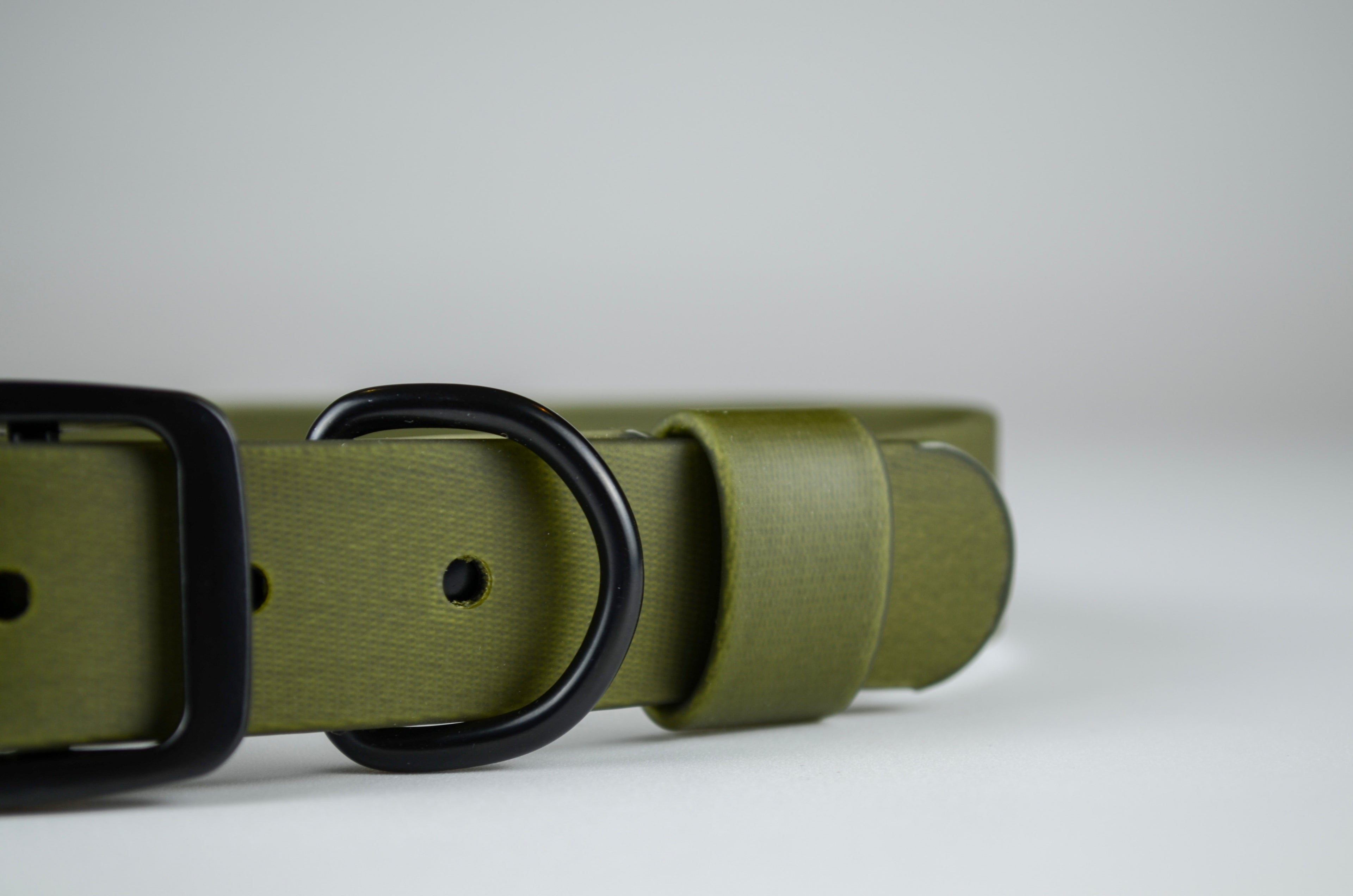 The Olive Collar