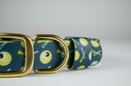 The Birdie Collar