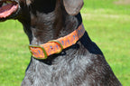 The Southwest Collar