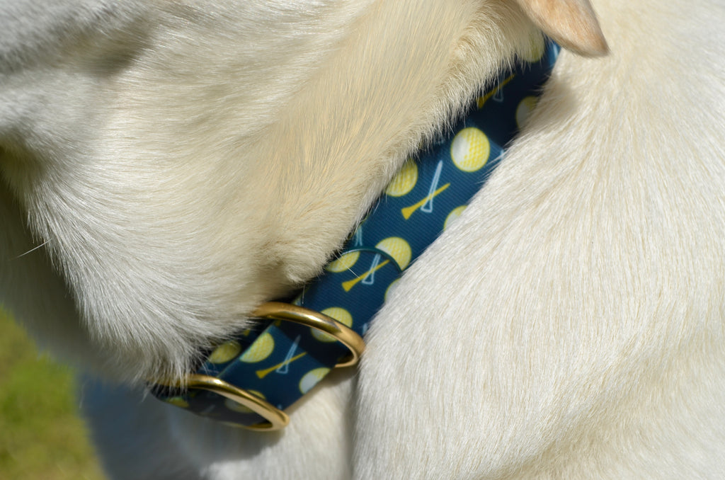 The Birdie Collar