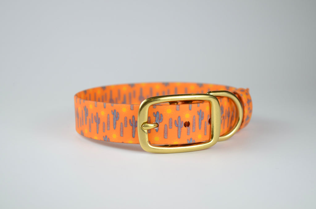 The Southwest Collar