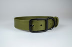 The Olive Collar