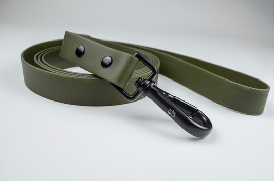 Olive Leash