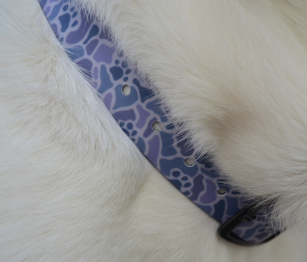 The Slate Pawmo Collar