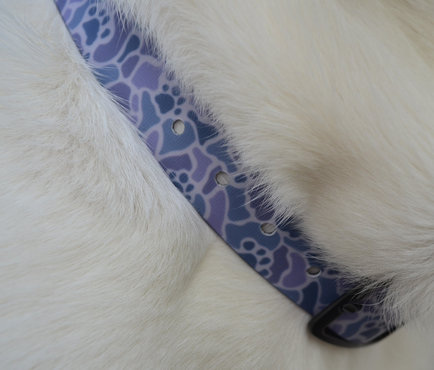 The Slate Pawmo Collar