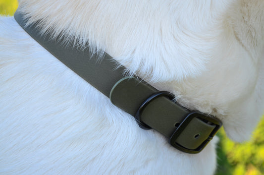 The Olive Collar