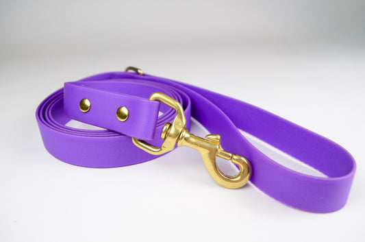 Amethyst Leash