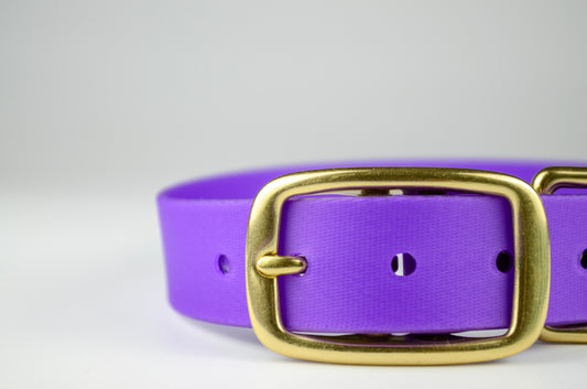 The Amethyst Collar