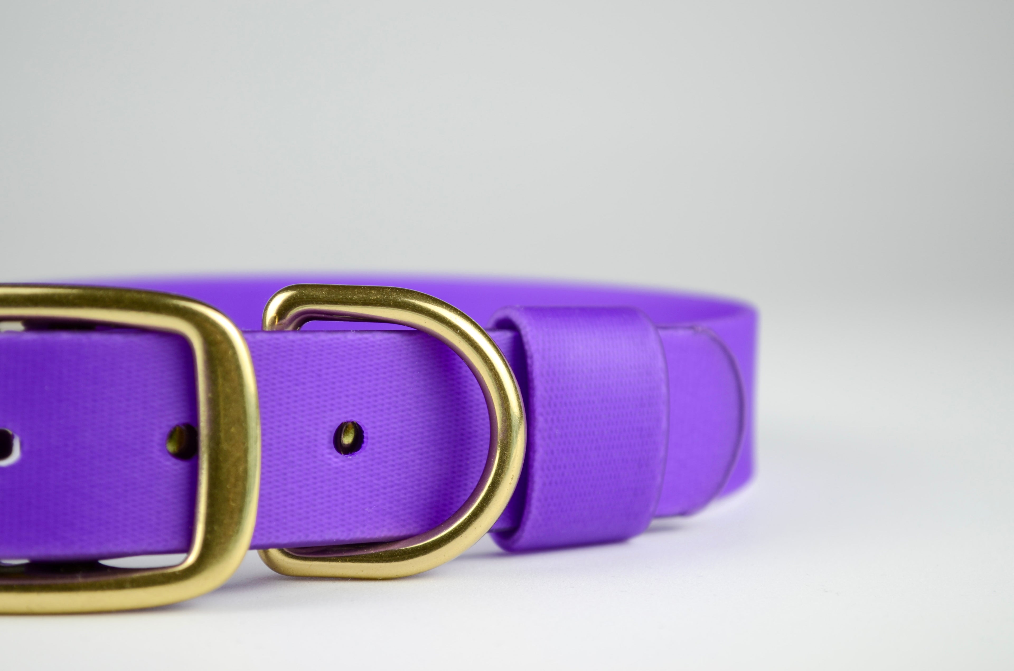 The Amethyst Collar