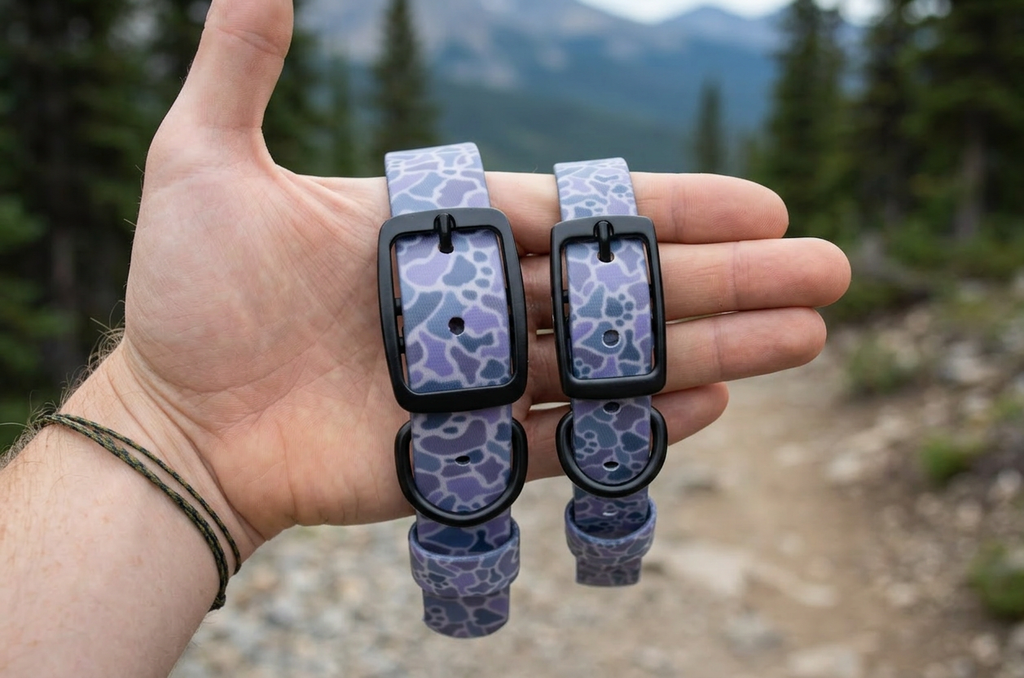 The Slate Pawmo Collar