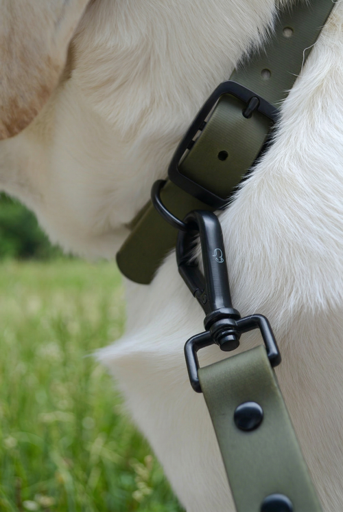 Olive Leash
