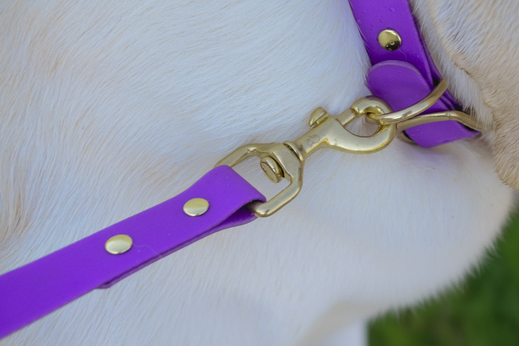 Amethyst Leash