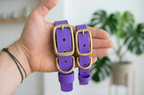 The Amethyst Collar