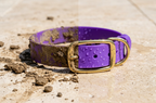 The Amethyst Collar