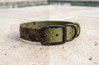 The Olive Collar