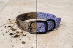 The Slate Pawmo Collar