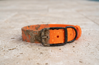 The Blaze Collar