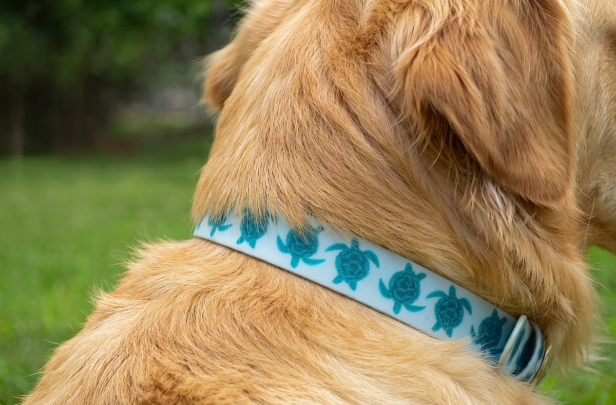 The Crush Collar