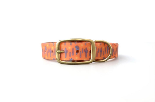 The Southwest Collar